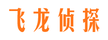 新宁婚外情调查取证